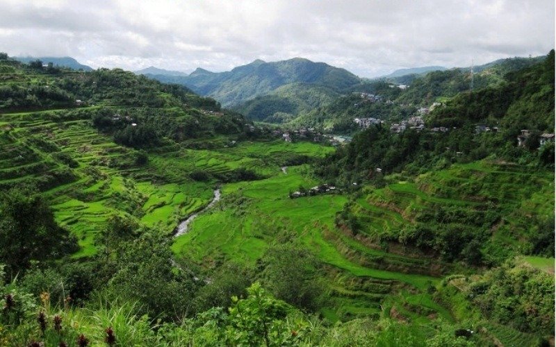 Green Banaue Rice Terraces surrounded by mountain villages