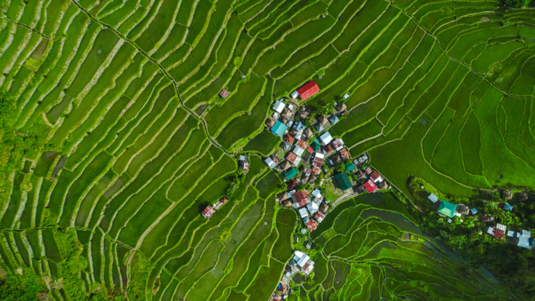 Immerse yourself with banaue's amazing rice terraces