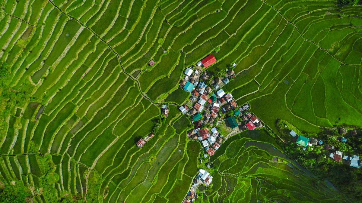Immerse yourself with banaue's amazing rice terraces